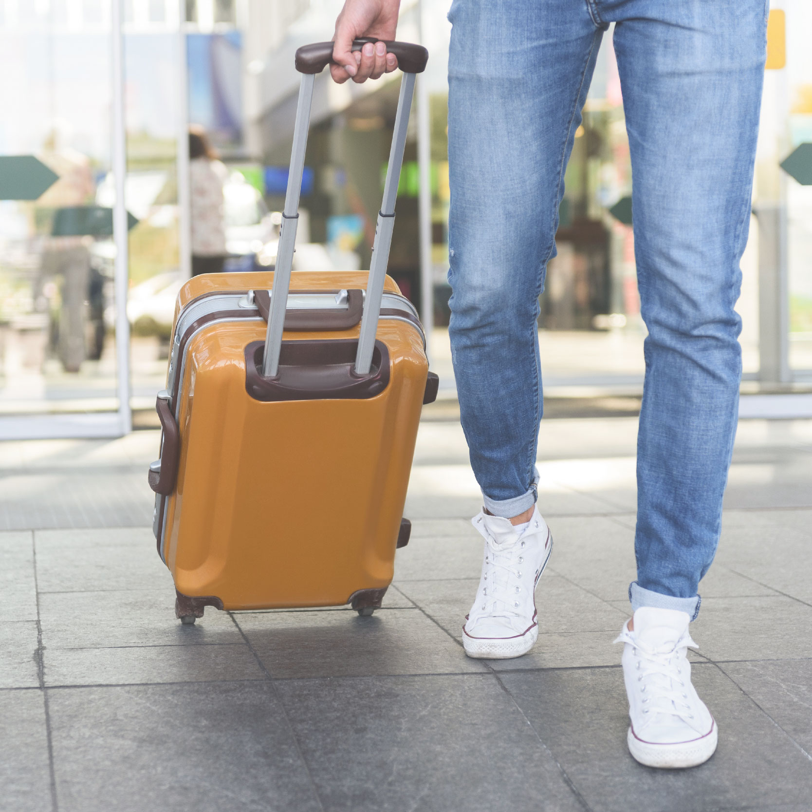 Baggage allowance, Information